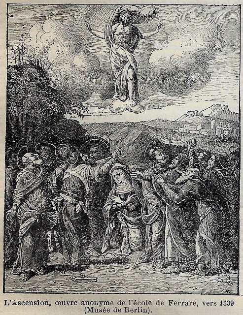 OSMARXDESSIN